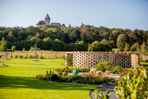 Pod Malé Karpaty so Smolenickou fčelou
