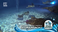 Dotkni sa raje v ZOO Zlín 