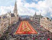Koberec kvetín v Bruseli  