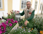 Sviatočne v zámku Schloss Hof