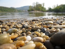 Národný park Dunajské luhy 