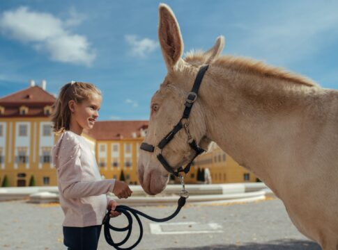 Záver leta na zámku Schloss Hof
